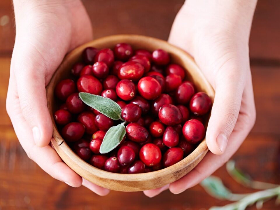 Cranberry-Canneberge