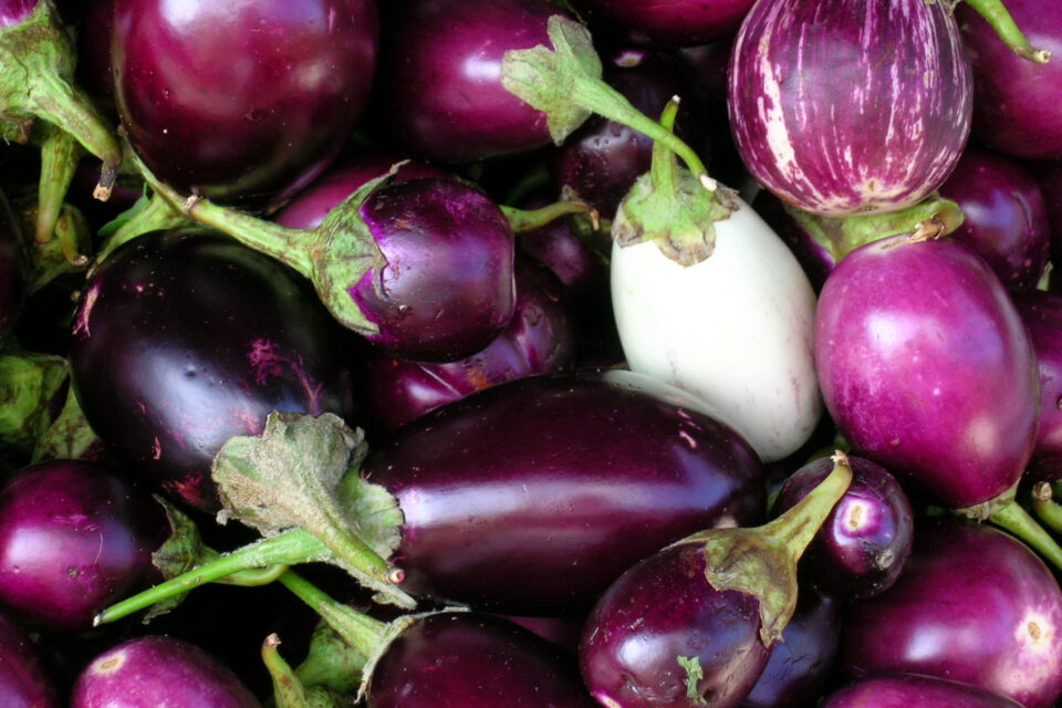 eggplants